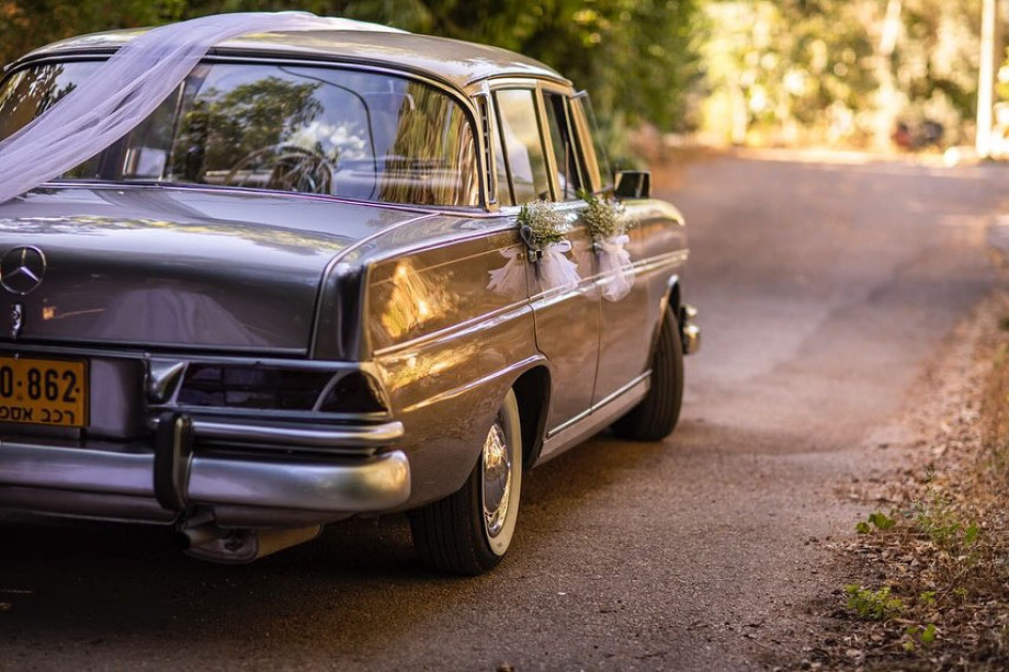 WhatsApp Image 2023-01-12 at 17.00.32.jpeg